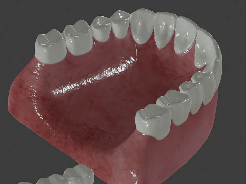 Human Teeth Prosthesis 3D Model