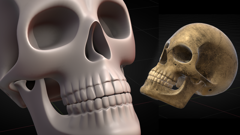 Human Skull 2025 3D Model .c4d .max .obj .3ds .fbx .stl .blend 