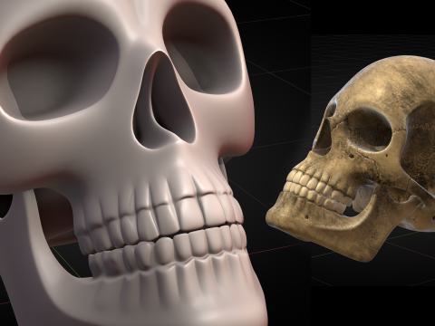 Human Skull 2025 3D 模型
