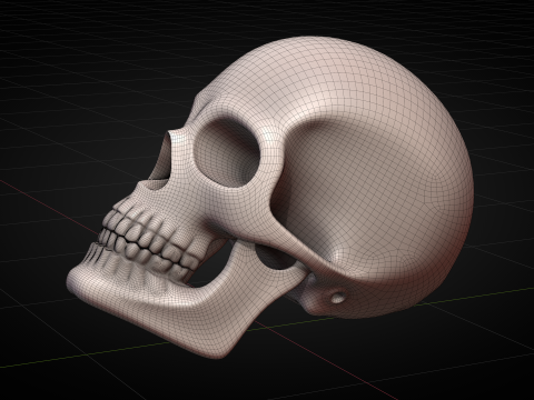 Human Skull 2025 3D Model