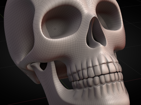 Human Skull 2025 3D Model