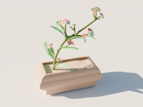Flower Modelo 3D