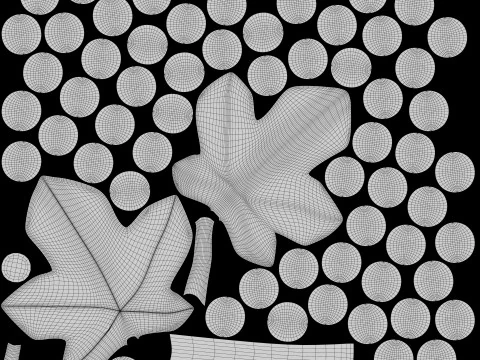 Виноград со стилизованным листом 3D Модель