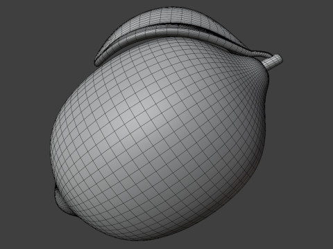 Lemon Fruit Stylized 3D Модель