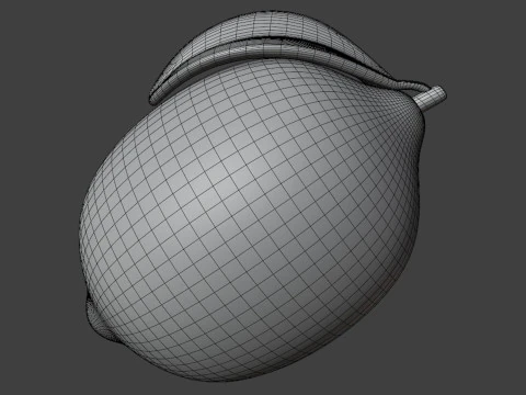 Frutta Di Limone Stilizzata Modello 3D