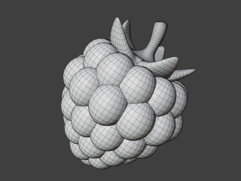 Raspberry Stylized 3D Model