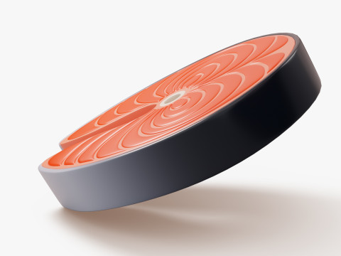Stylized Salmon Steak 3D 模型