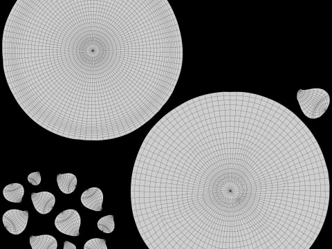 초콜릿 칩 쿠키 3D 모델