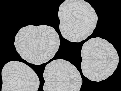 Biscuit coeur Linzer Modèle 3D