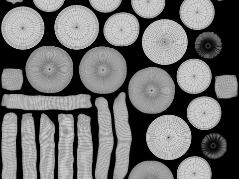 Burger Keju Bacon Model 3D