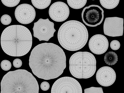 크리스피 치킨 버거 3D 모델