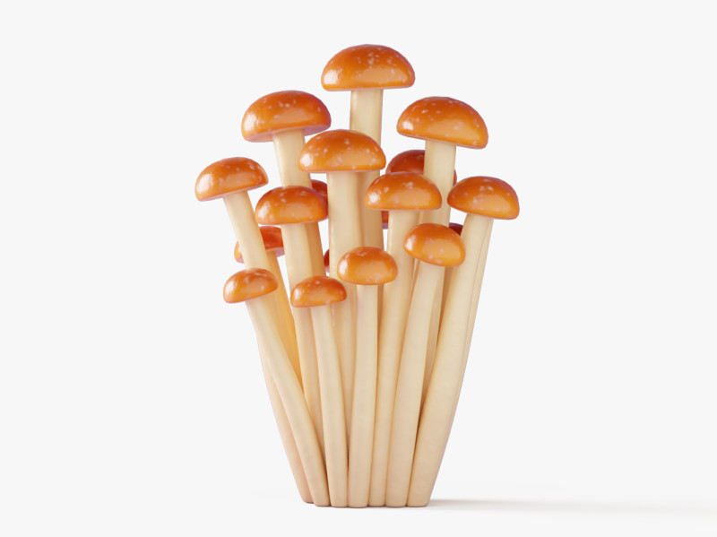 Cartoon Honing Paddestoelen 3D Model .c4d .max .obj .3ds .fbx .stl .blend