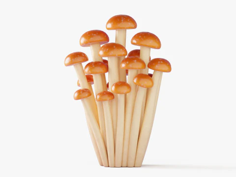 Cartoon Honey Mushrooms 3D Model