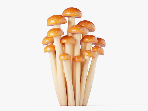 만화 꿀 버섯 3D 모델