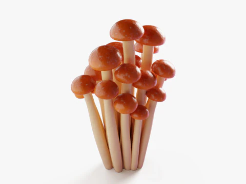 Grzyby miodowe z kresk&oacute;wek Model 3D