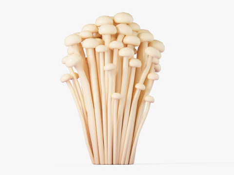 Cartoon Enoki Mushrooms 3D Model