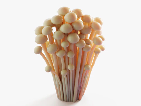 Cartoon Enoki Mushrooms 3D Model