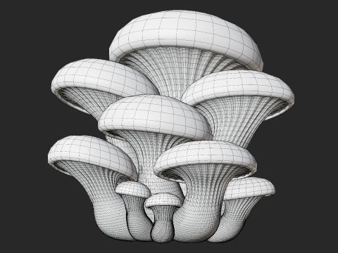 Oyster Mushrooms Cluster 3D Model