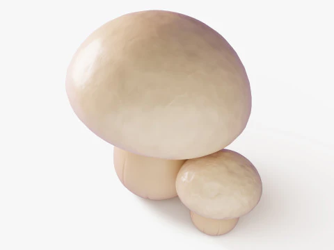 Funghi Champignon Del Fumetto Modello 3D