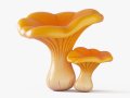 Cartoon Chanterelle Mushrooms Modello 3D