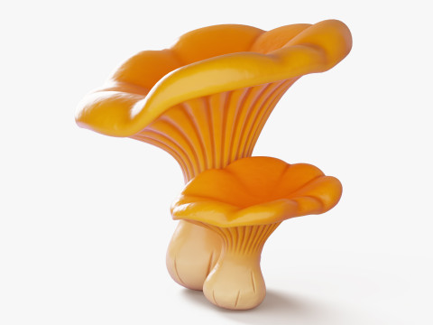 漫画アンズタケ 3Dモデル