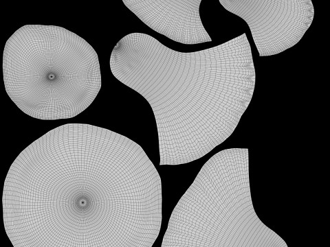 漫画アンズタケ 3Dモデル