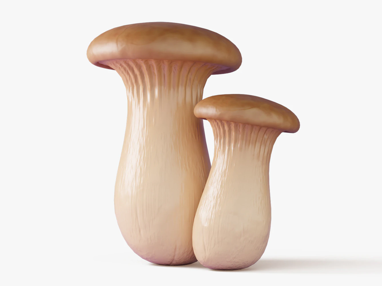 Eryngii Mushrooms 3D Model .c4d .max .obj .3ds .fbx .stl .blend 