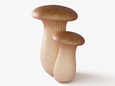 Eryngii Mushrooms 3D Model