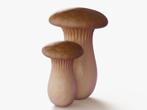 Eryngii-paddestoelen 3D Model