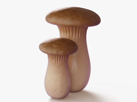 Eryngii Mushrooms 3D Model
