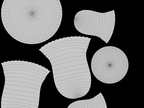 Eryngii-paddestoelen 3D Model