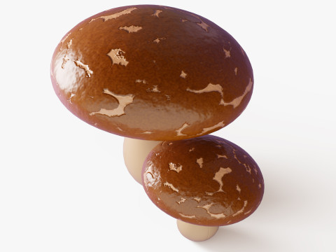 Hongos Shiitake Modelo 3D