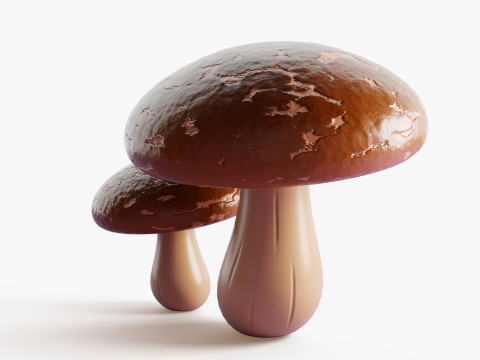 Hongos Shiitake Modelo 3D