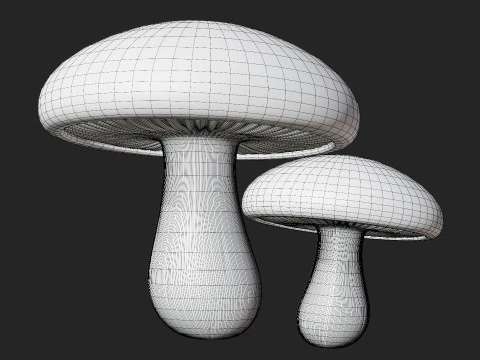Shiitake Mushrooms 3D Model