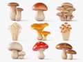Cartoon Mushroom Collection 3Dモデル