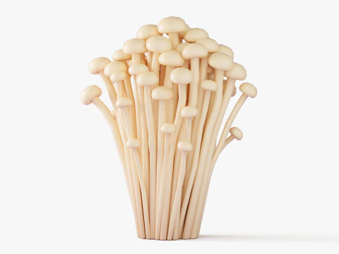 Cartoon Mushroom Collection 3D Model