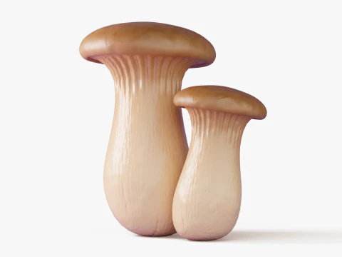 Cartoon Mushroom Collection 3D Model