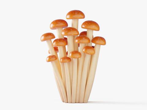 Raccolta di funghi dei cartoni animati Modello 3D