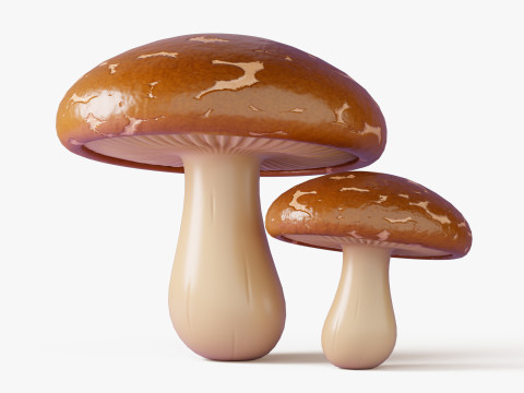 Raccolta di funghi dei cartoni animati Modello 3D