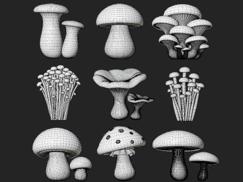 Cartoon Mushroom Collection 3D Model