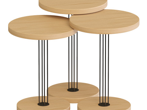 Nola Zigon Coffee Table Oak Modelo 3D