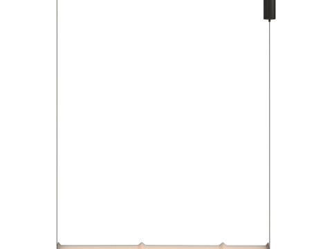 Canna Pendant Light 3D 模型