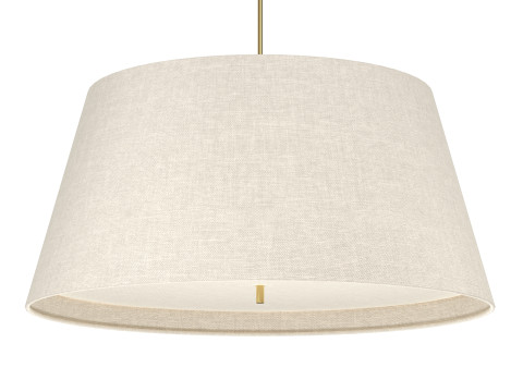 Darwin Pendant Lamp 3D मॉडल