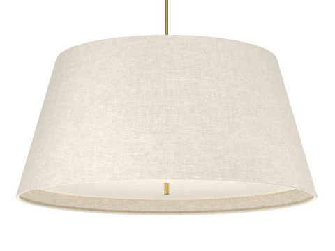 Darwin Pendant Lamp 3D Model
