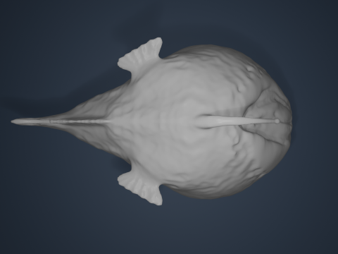 Fish 3Dプリントモデル