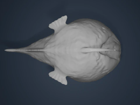 Fish 3D Print Model