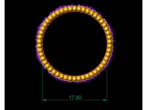 PREMIUM LADIES RING 3D Model