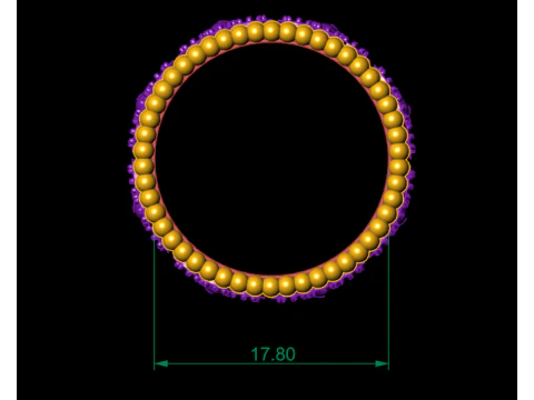 PREMIUM LADIES RING 3D Model