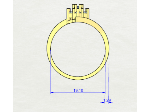 PREMIUM LADIES RING Modèle 3D