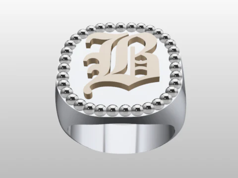 ANILLO DE SELLO Modelo 3D